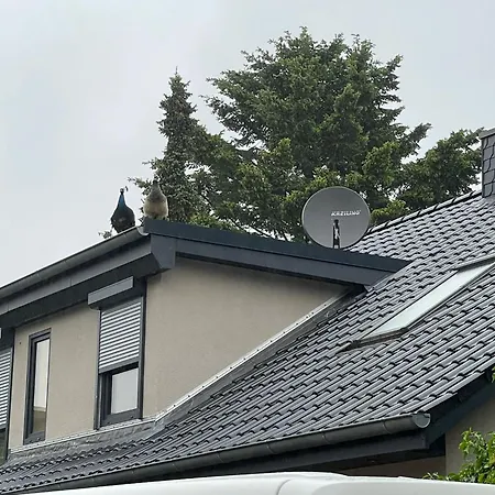 Appartement Ein Traum Am Wildparkgehege Schwentinental