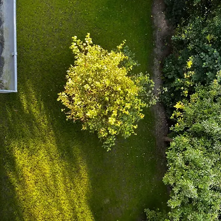 Ein Traum Am Wildparkgehege Appartement