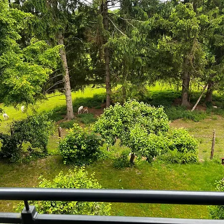 Appartement Ein Traum Am Wildparkgehege